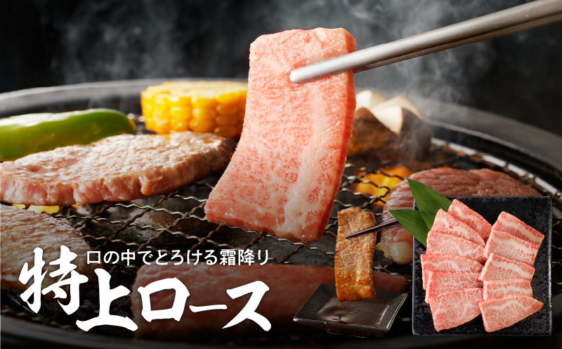 【7営業日以内に発送】【鹿児島黒毛和牛A4〜A5】焼肉特上セット（特上カルビ/特上ロース）　K189-007