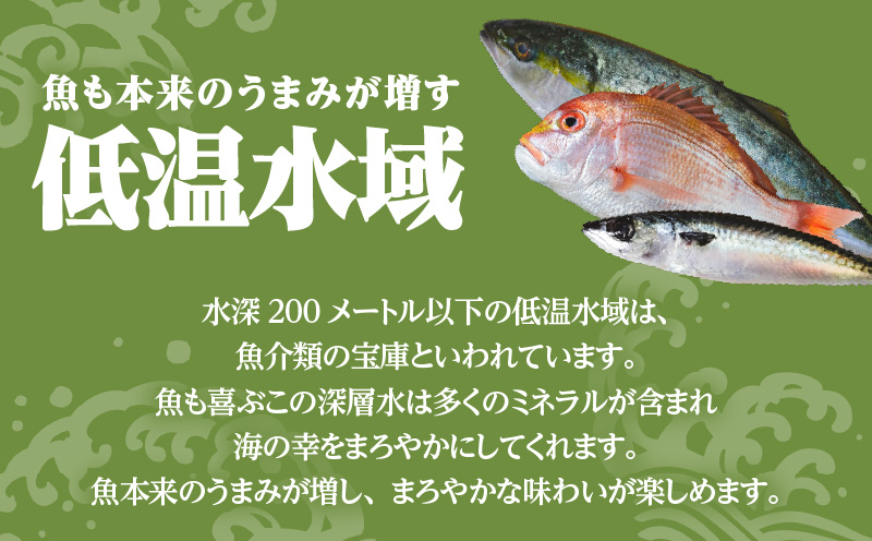 【海幸】簡単・便利 お魚惣菜 5種 詰め合わせ（FO-01）　K065-004