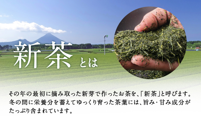 【新茶】2025/6/30まで！鹿児島特上深蒸し煎茶 彩緑天 3本セット　K112-002_shincha
