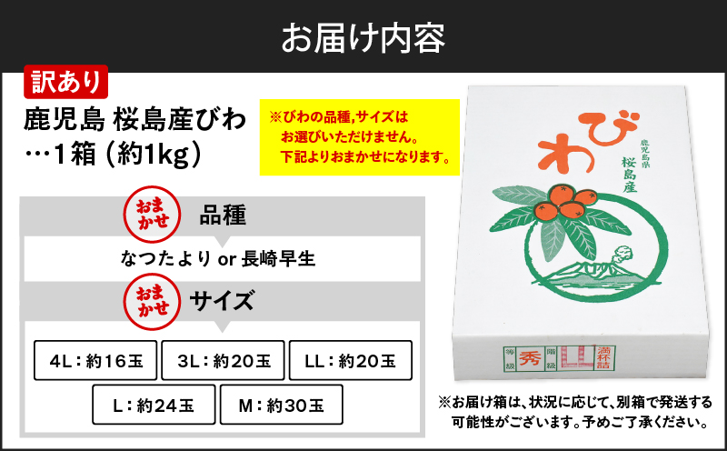 旬の朝採り！ 鹿児島 桜島産びわ 1箱（訳あり品）　K343-002