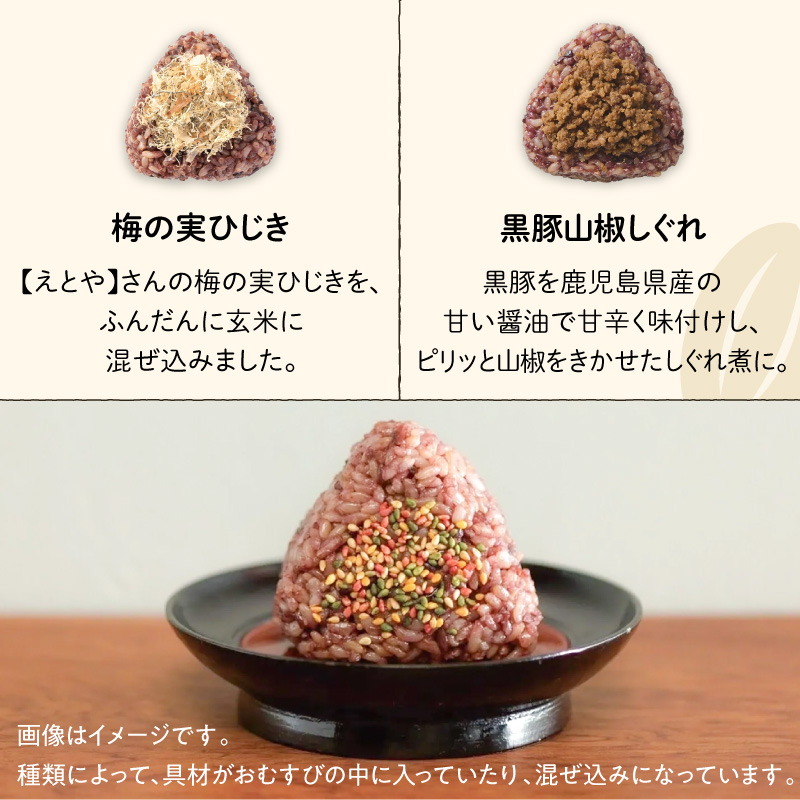 【7営業日以内に発送】冷凍玄米おむすび おまかせパック 10個入り　K182-001