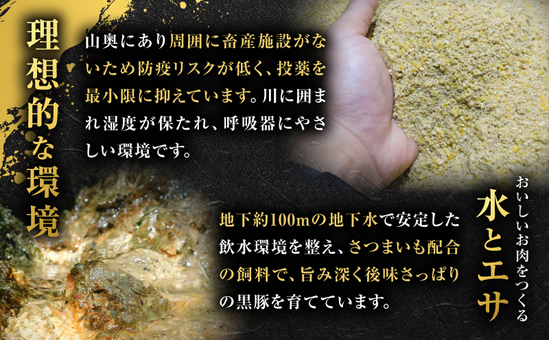 昔ながらの黒豚しゃぶしゃぶセット＜バラ、ロース、肩ロース＞3～4人前　K125-003