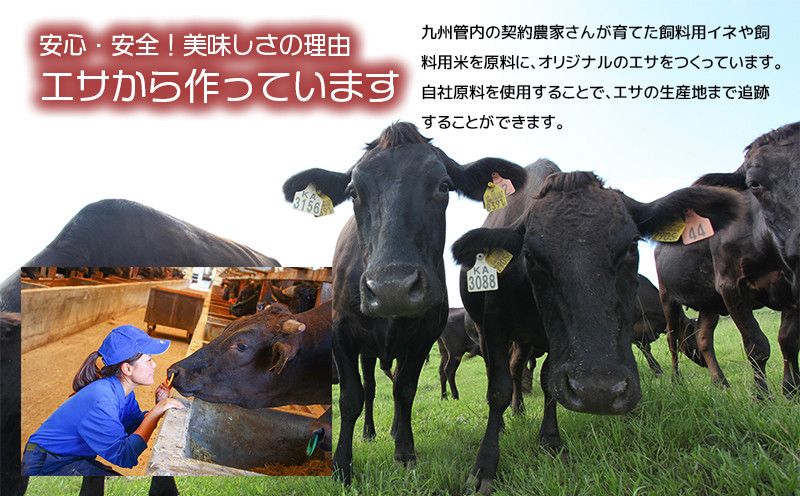 【人気部位ミスジ！】A5等級黒毛和牛ミスジステーキ 400g　K002-045