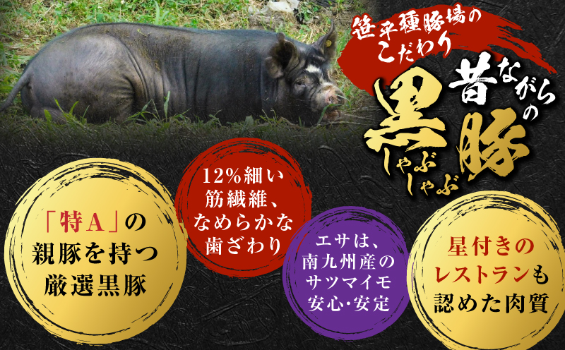 昔ながらの黒豚しゃぶしゃぶセット＜バラ、ロース、肩ロース＞3～4人前　K125-003