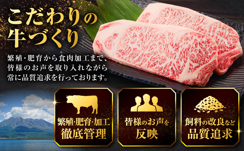 北さつま牛の三傑　K137-010