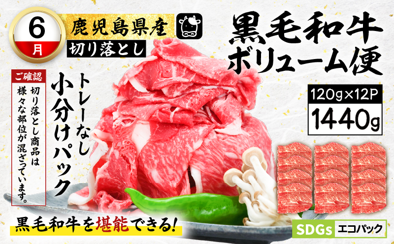 【全3回】鹿児島県黒毛和牛・黒豚食べ比べ定期便　K000-T2309