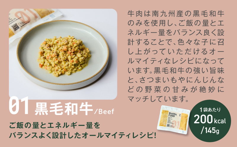 【全12回定期便】Buddy FOOD 01 黒毛和牛×6パック　K390-T01_c