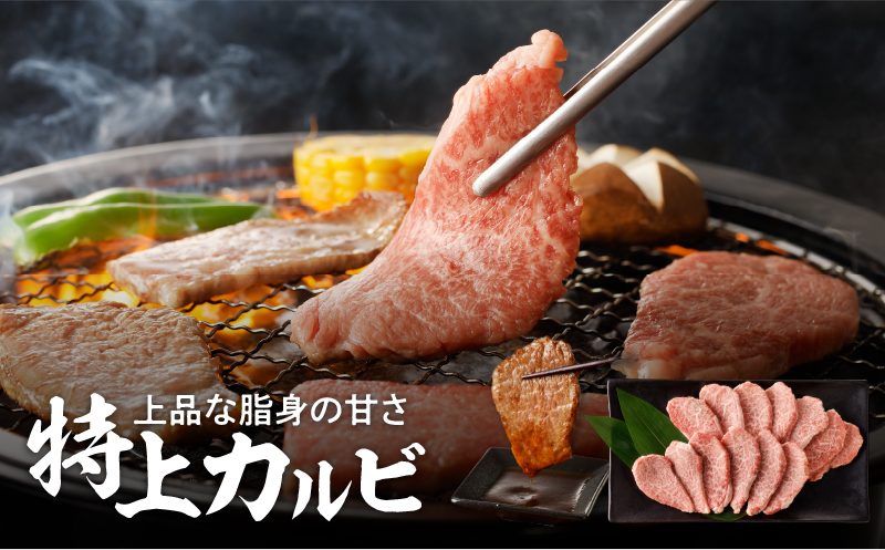 【7営業日以内に発送】【鹿児島黒毛和牛A4〜A5】焼肉特上セット（特上カルビ/特上ロース）　K189-007