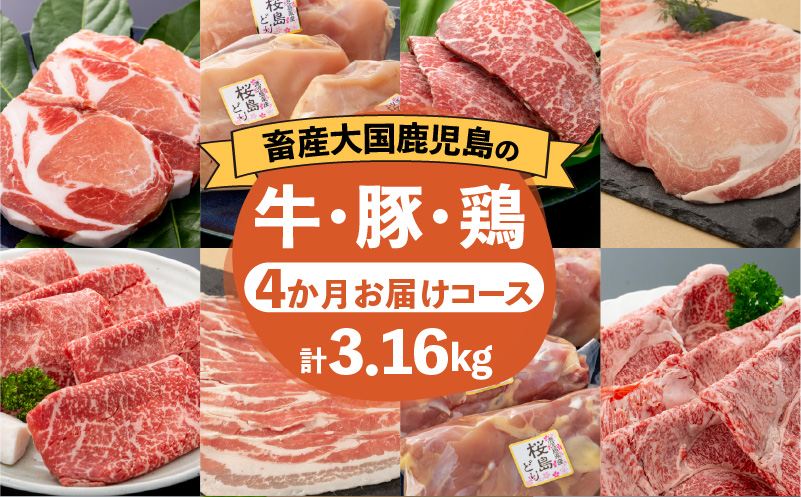 【岩元精肉店】鹿児島県産精肉 厳選4か月お届けコース　K045-T04