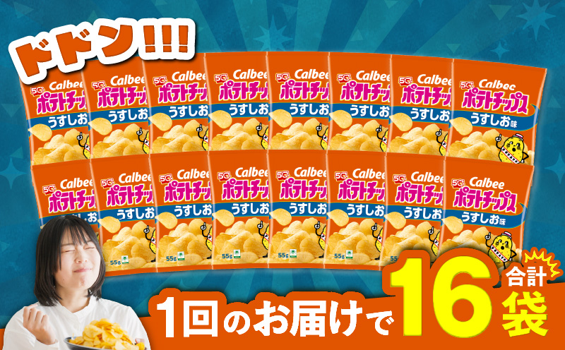 カルビー ポテトチップス【うすしお】16袋　K194-002_03