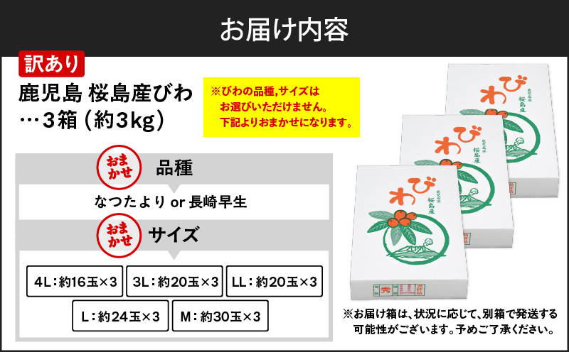 旬の朝採り！ 鹿児島 桜島産びわ 3箱（訳あり品）　K343-002_03