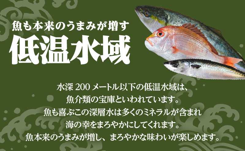 【海幸】簡単・便利 お魚惣菜 6種 詰め合わせ（FO-2）　K065-006