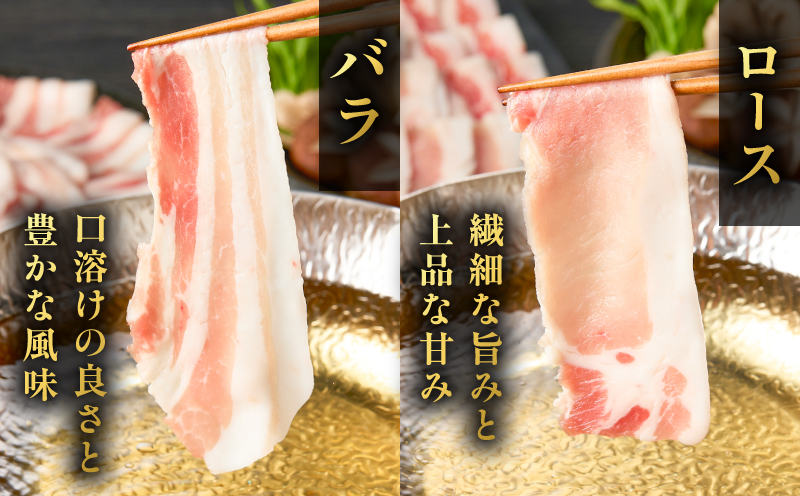 昔ながらの黒豚しゃぶしゃぶセット＜バラ、ロース、肩ロース＞6～8人前　K125-004