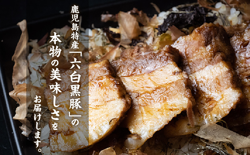 【かごしま黒豚 六白亭】黒豚バラエティピザセット【1】　K163-016