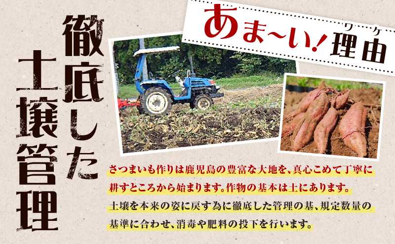 【2025年先行予約】畑の金貨 生芋 紅はるか4kg K181-006