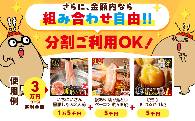 あとからセレクト【ふるさとギフト】50万円　K000-050