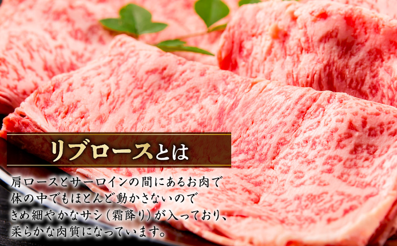 リブローススライス　K137-003