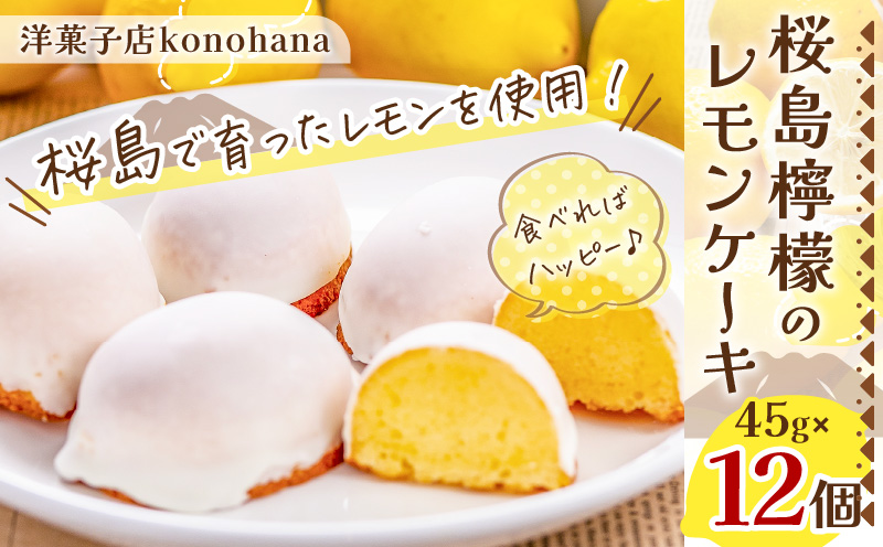 桜島檸檬のレモンケーキ　K236-001
