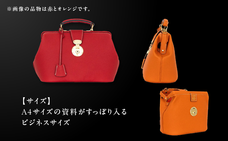 Stern〜ROYAL Leather〜 LLサイズ（ベージュ）　K338-004_04
