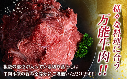 鹿児島県産黒毛和牛切落し 900g　K002-049