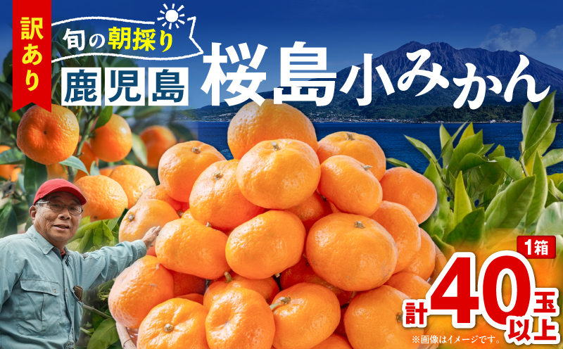 【訳あり品】旬の朝採り！鹿児島桜島小みかん 1箱　K343-003