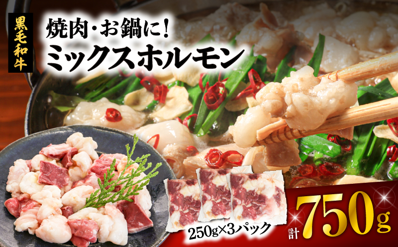 焼肉・お鍋に！ミックスホルモン750g（250g×3パック）　K002-005_01