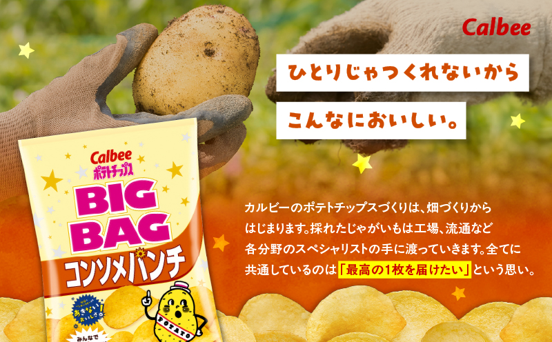 カルビー ポテトチップス BIGBAG【コンソメパンチ】12袋　K194-002_06