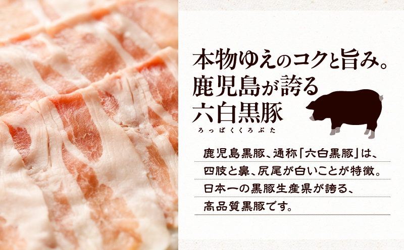天文館 吾愛人 かごしま六白黒豚しゃぶしゃぶ鍋セット 2〜3人前　K014-002