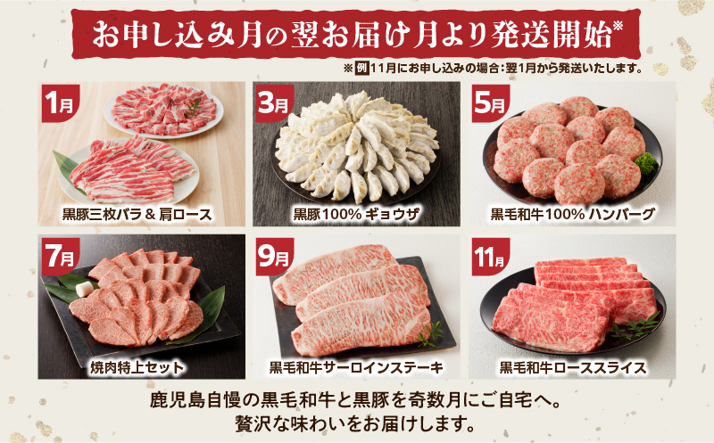 【全6回】「肉のヨコムラ」鹿児島県産 黒毛和牛・黒豚 定期便（奇数月にお届け）　K189-T01