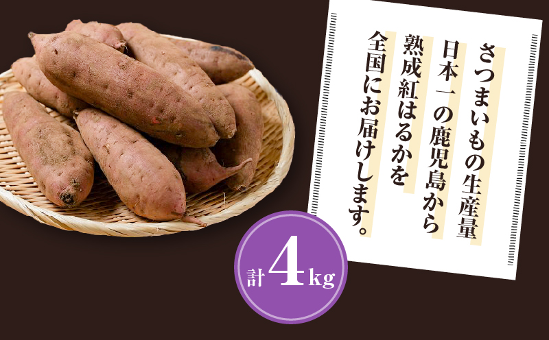 【2025年先行予約】畑の金貨 生芋 紅はるか4kg K181-006