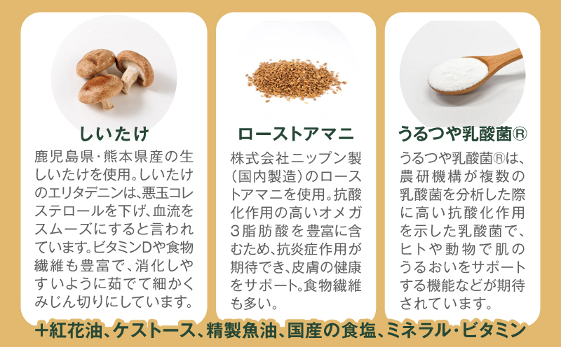 【全12回定期便】Buddy FOOD ヘルスケアプラス 皮膚サポートカツオ・ケア×6パック　K390-T10_c