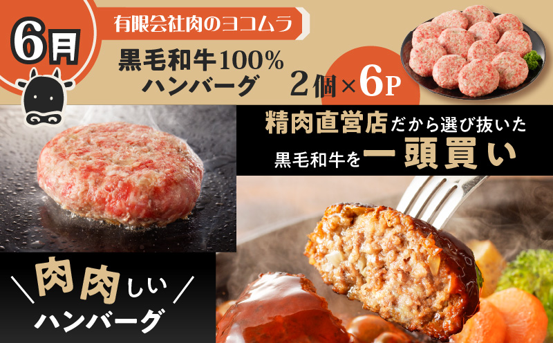 【全6回】鹿児島県産黒毛和牛・黒豚ハンバーグ定期便　K000-T2316