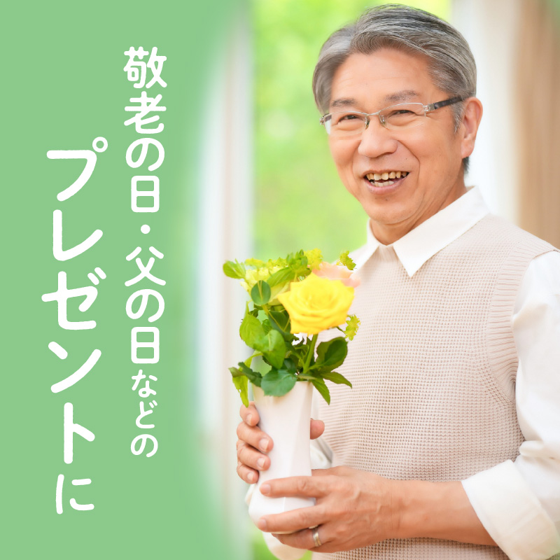 ネックフィット枕43×63cm レッド　K018-002_03