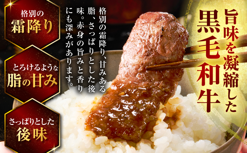 北さつま牛の三傑　K137-010