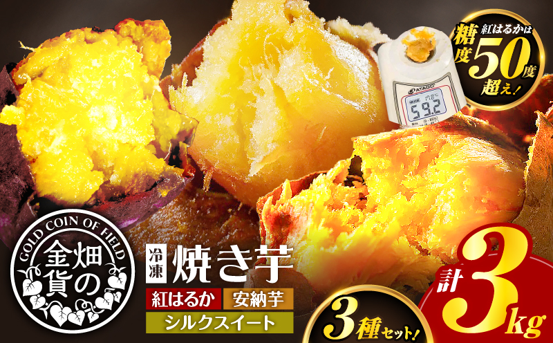 畑の金貨 焼き芋3種セット 3kg　K181-001_04