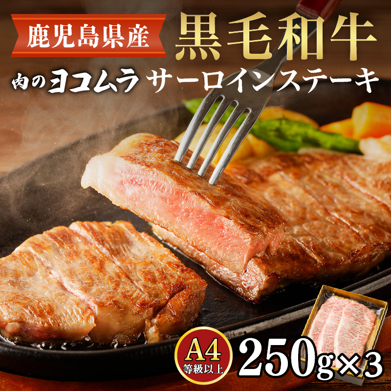 【肉のヨコムラ】鹿児島県産 黒毛和牛サーロインステーキ　K189-005