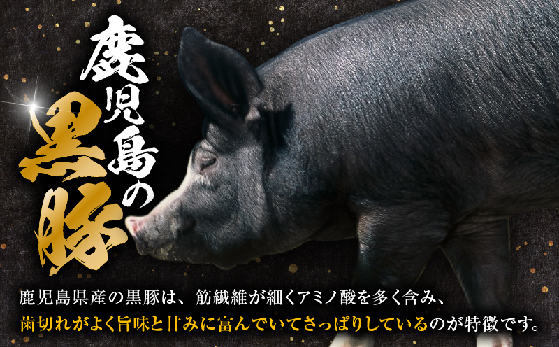 【数量限定】鹿児島県産 黒豚切り落とし 3kg　K025-001_06