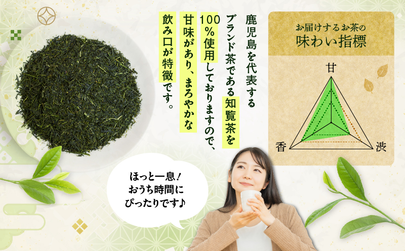 煎茶ティーバッグ 15個入り（10袋セット）　K346-005_05