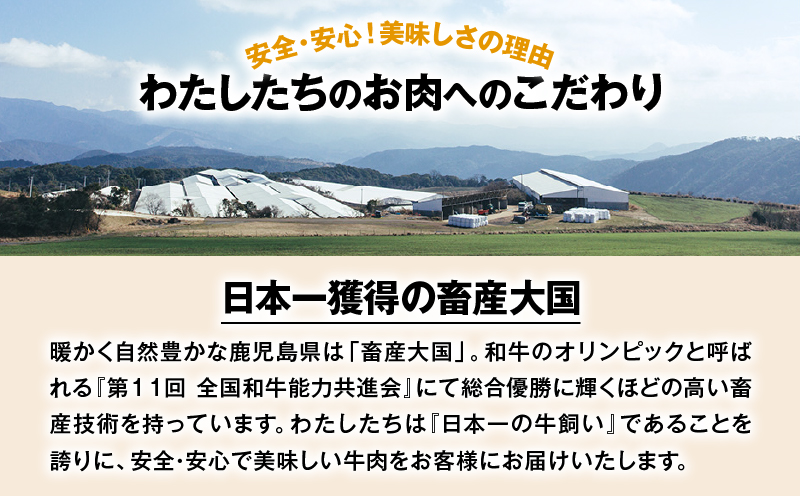 鹿児島県産黒毛和牛ユッケ＆炙り牛刺し 小分け4パックセット　K002-036