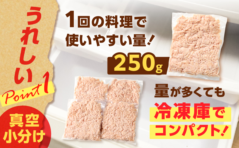国産鶏モモミンチ＜うす塩＞ 計1kg　K025-016_02