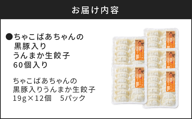 ちゃこばあちゃんの黒豚入りうんまか生餃子　60個入り　K027-001