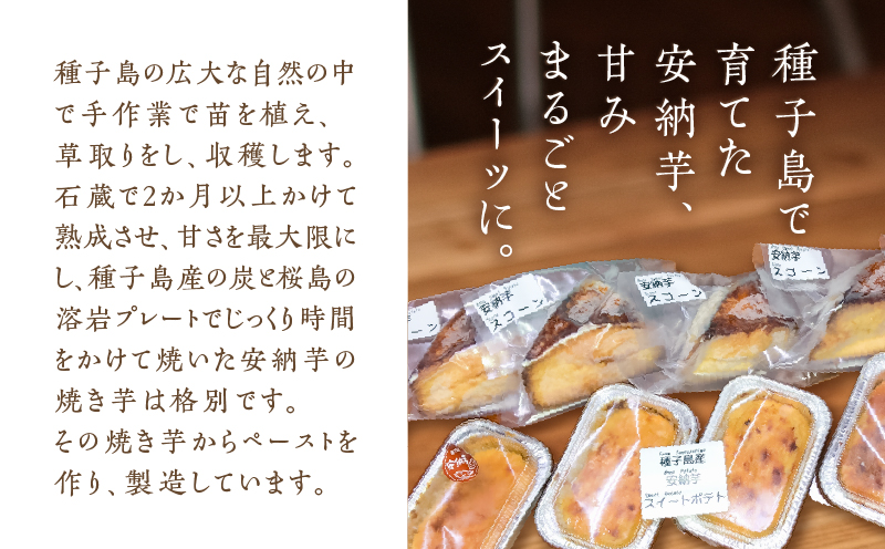 種子島産安納芋スコーン＆スイートポテトセット　K366-002