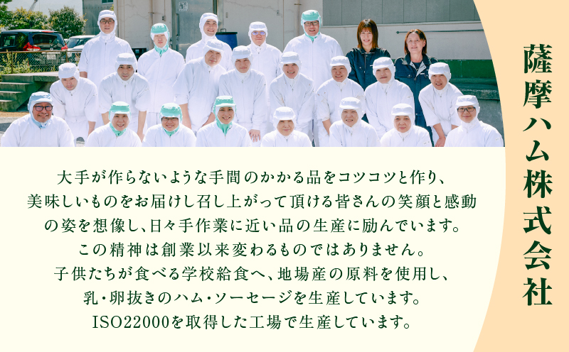 訳あり粗びきフランクフルトソーセージセット 計1.4kg　K161-017_05