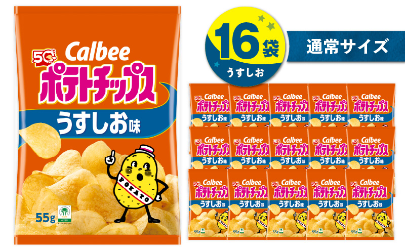 カルビー ポテトチップス【うすしお】16袋　K194-002_03