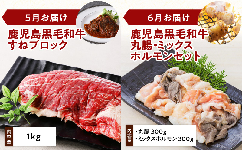 【全12回】鹿児島黒毛和牛定期便　K130-T01