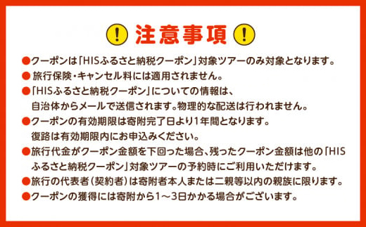 鹿児島県鹿児島市の対象ツアーに使えるHISふるさと納税クーポン 寄附額500,000円　HIS-050