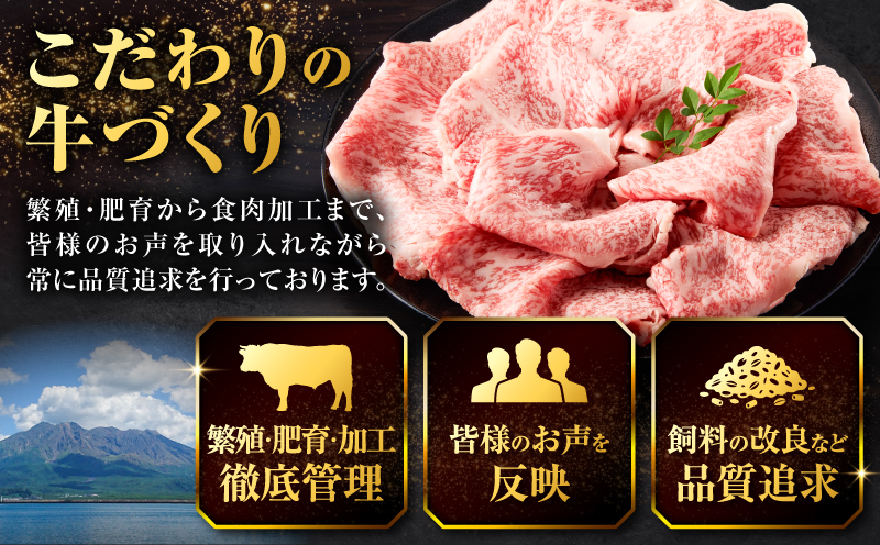 北さつま牛ローススライス　K137-005