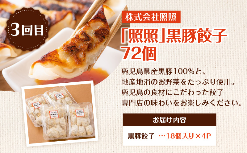 【全6回】うんめか餃子定期便　K000-T2311