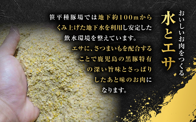 種豚場がお届けする鹿児島伝統の黒豚 黒胡椒の効いた黒豚ウインナー　K125-002