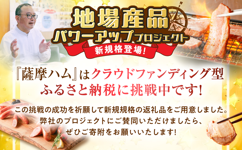 一口でぱくっとミニウインナー 200g×11P　K161-030_03